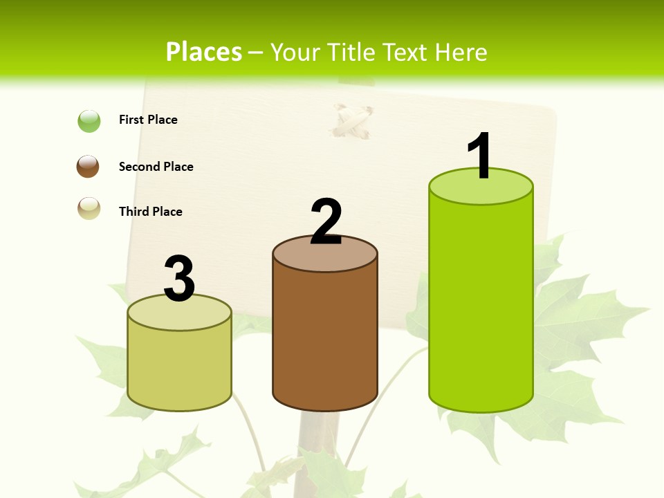 Design Environmental Bamboo PowerPoint Template