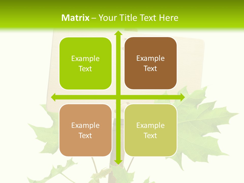 Design Environmental Bamboo PowerPoint Template