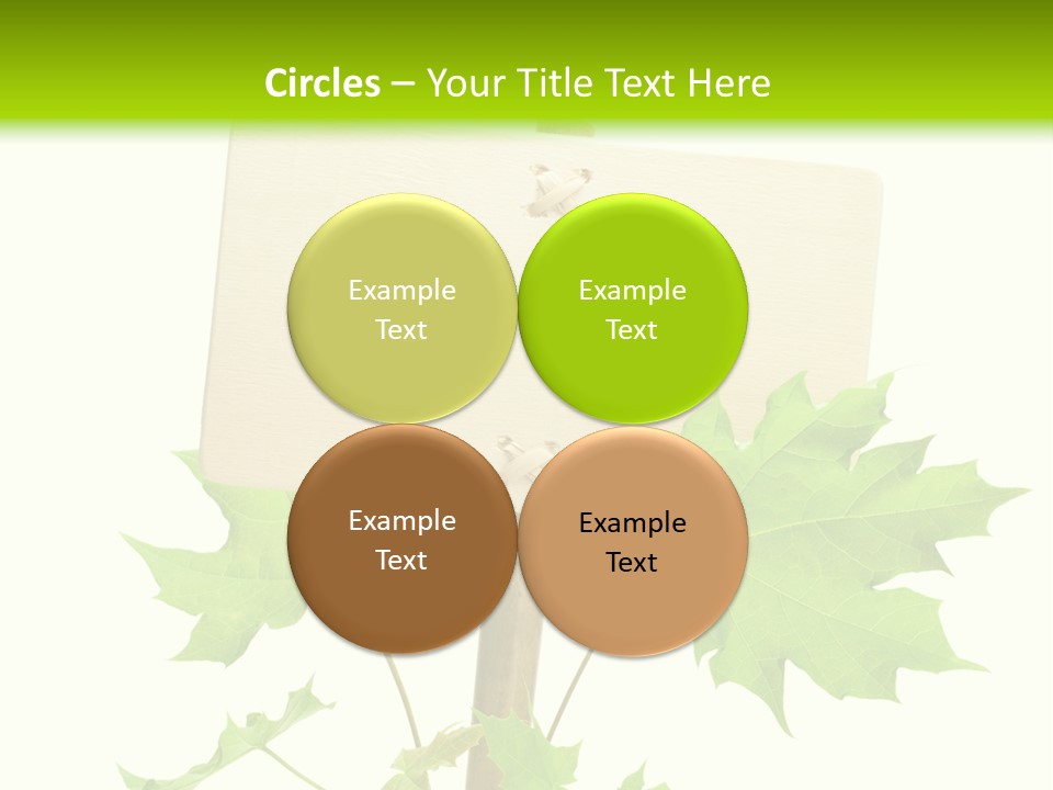 Design Environmental Bamboo PowerPoint Template