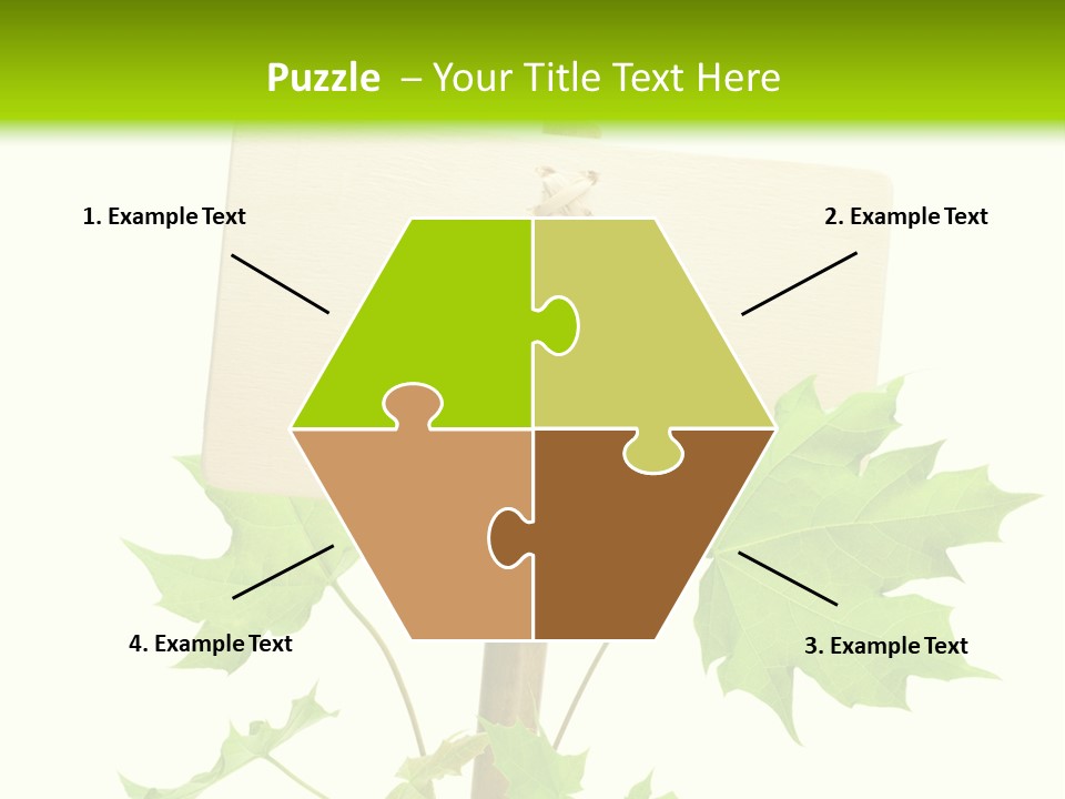 Design Environmental Bamboo PowerPoint Template