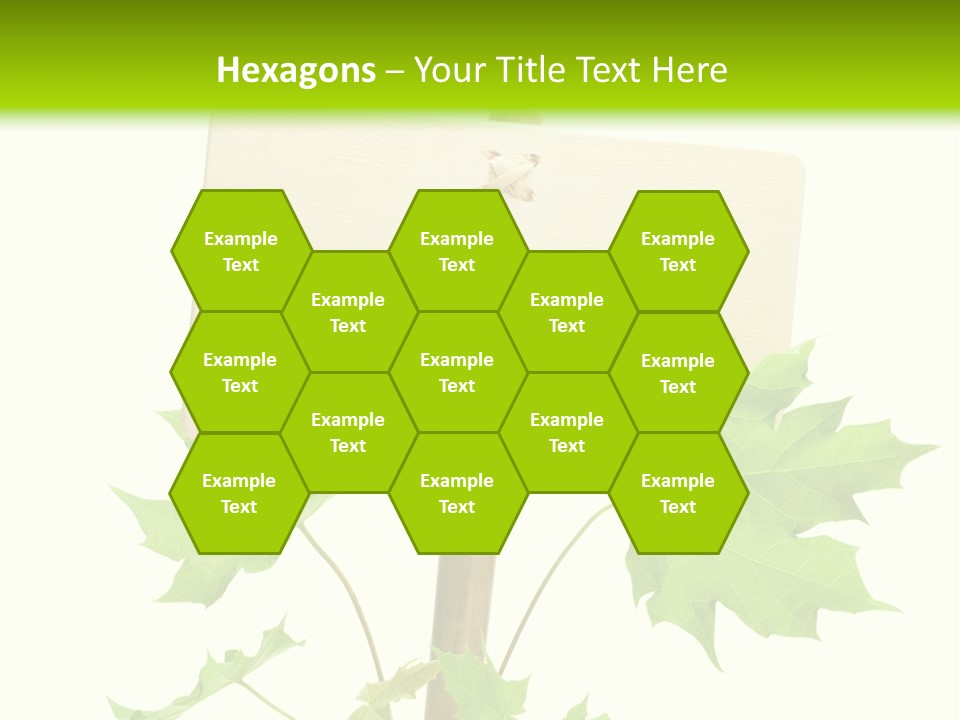 Design Environmental Bamboo PowerPoint Template