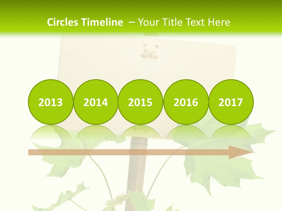 Design Environmental Bamboo PowerPoint Template