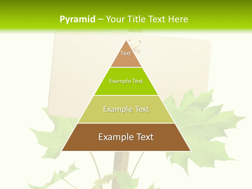 Design Environmental Bamboo PowerPoint Template