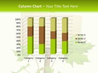 Design Environmental Bamboo PowerPoint Template