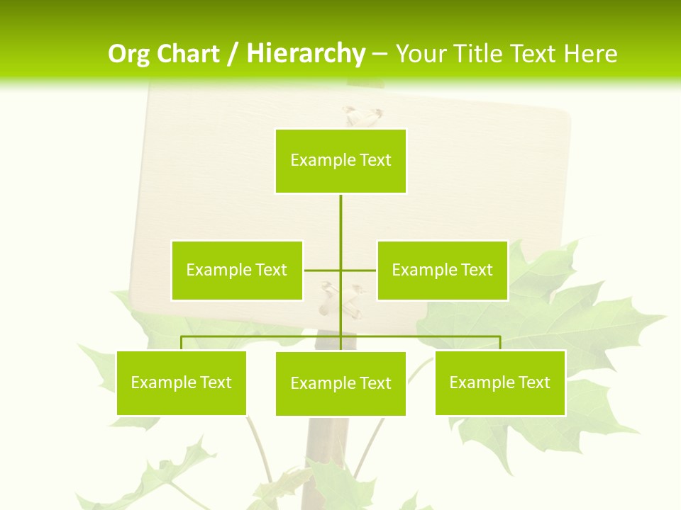 Design Environmental Bamboo PowerPoint Template
