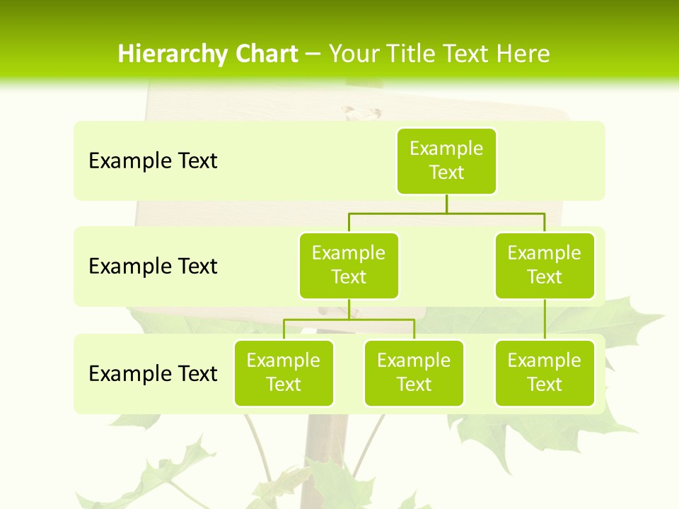 Design Environmental Bamboo PowerPoint Template