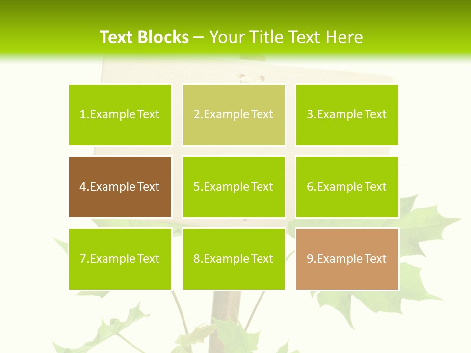 Design Environmental Bamboo PowerPoint Template