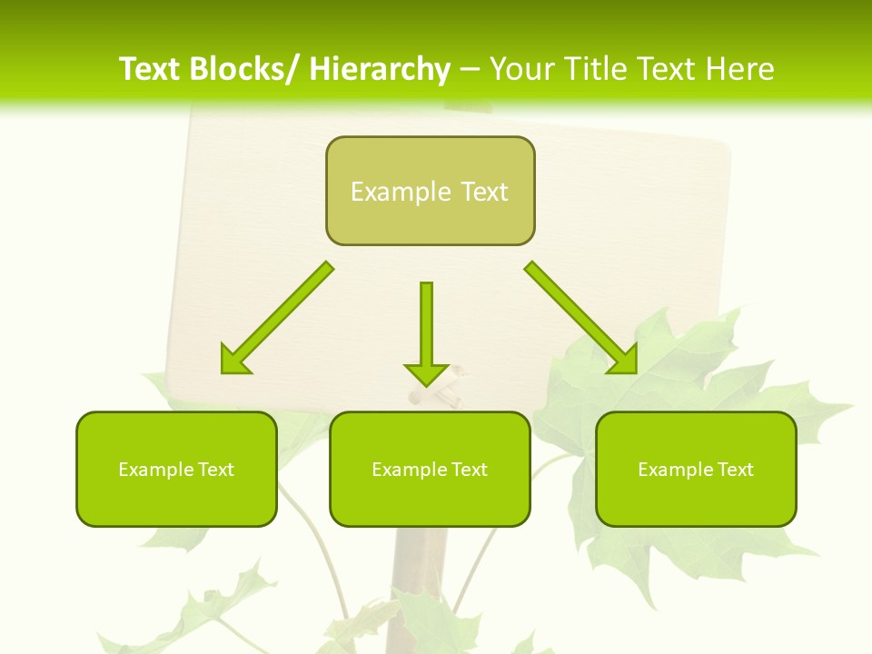 Design Environmental Bamboo PowerPoint Template