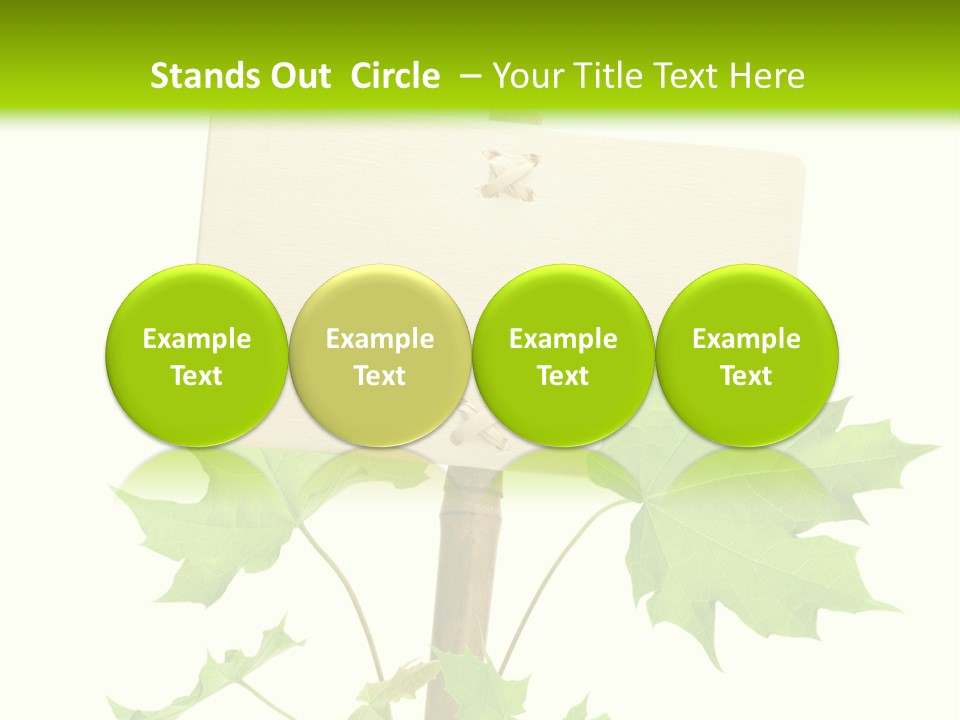 Design Environmental Bamboo PowerPoint Template