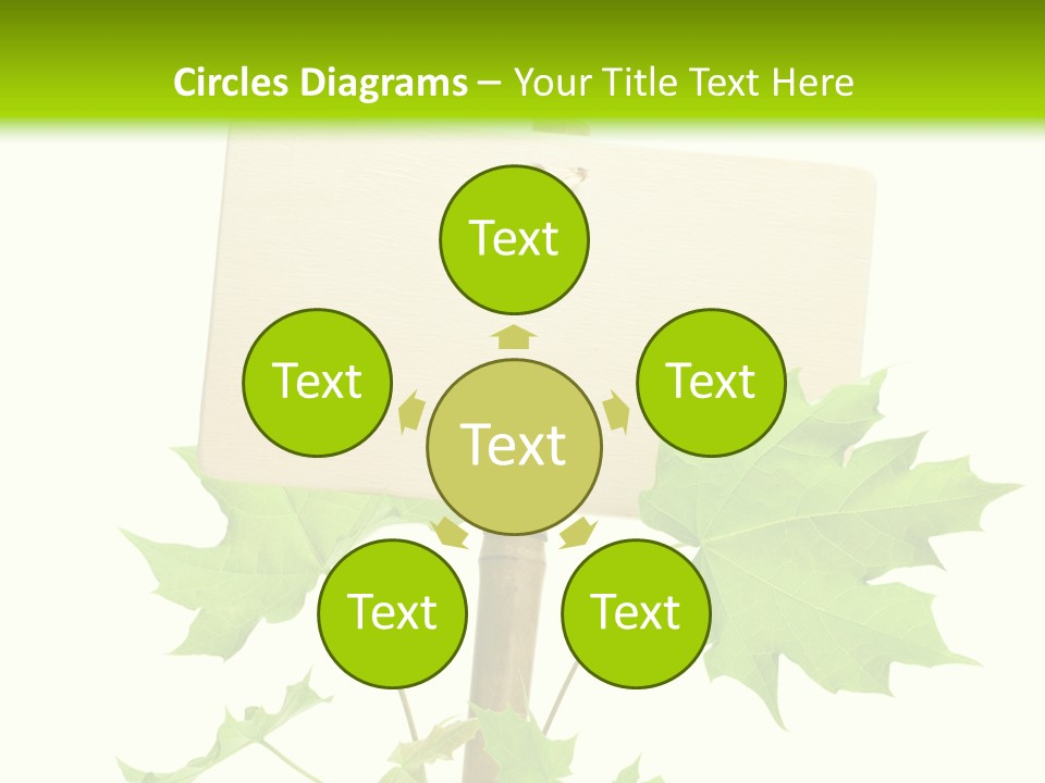 Design Environmental Bamboo PowerPoint Template