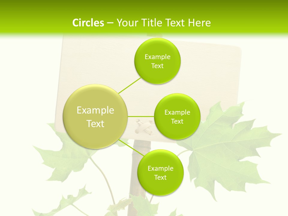 Design Environmental Bamboo PowerPoint Template