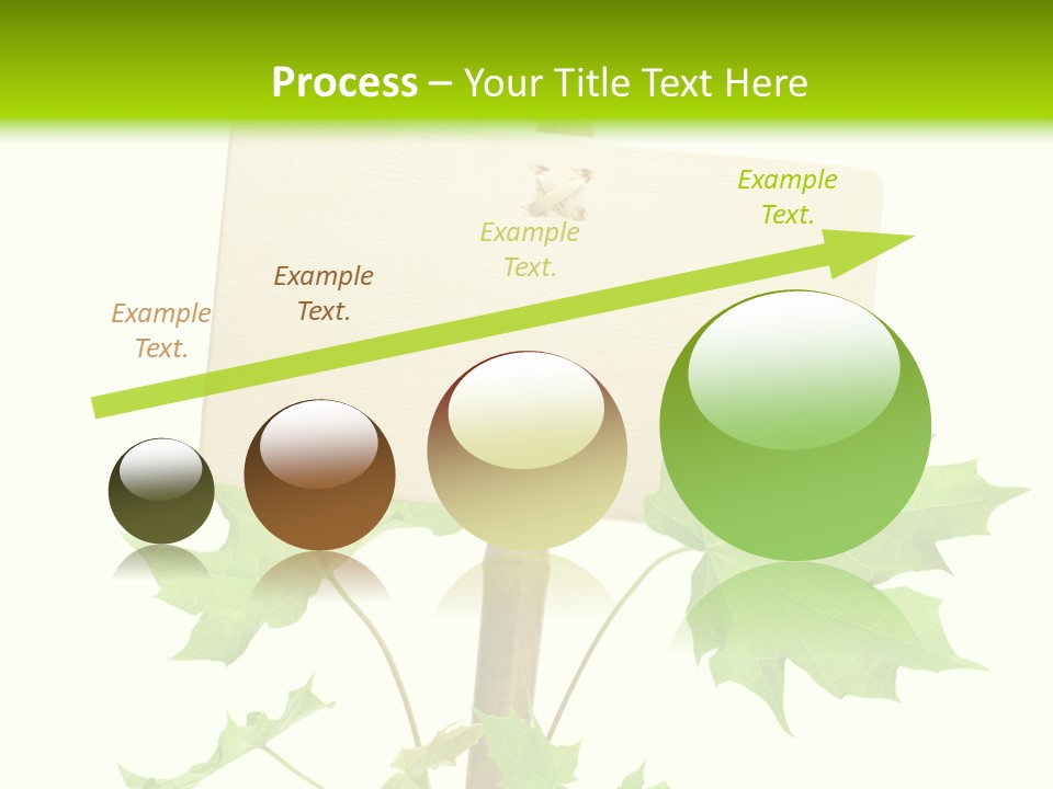 Design Environmental Bamboo PowerPoint Template