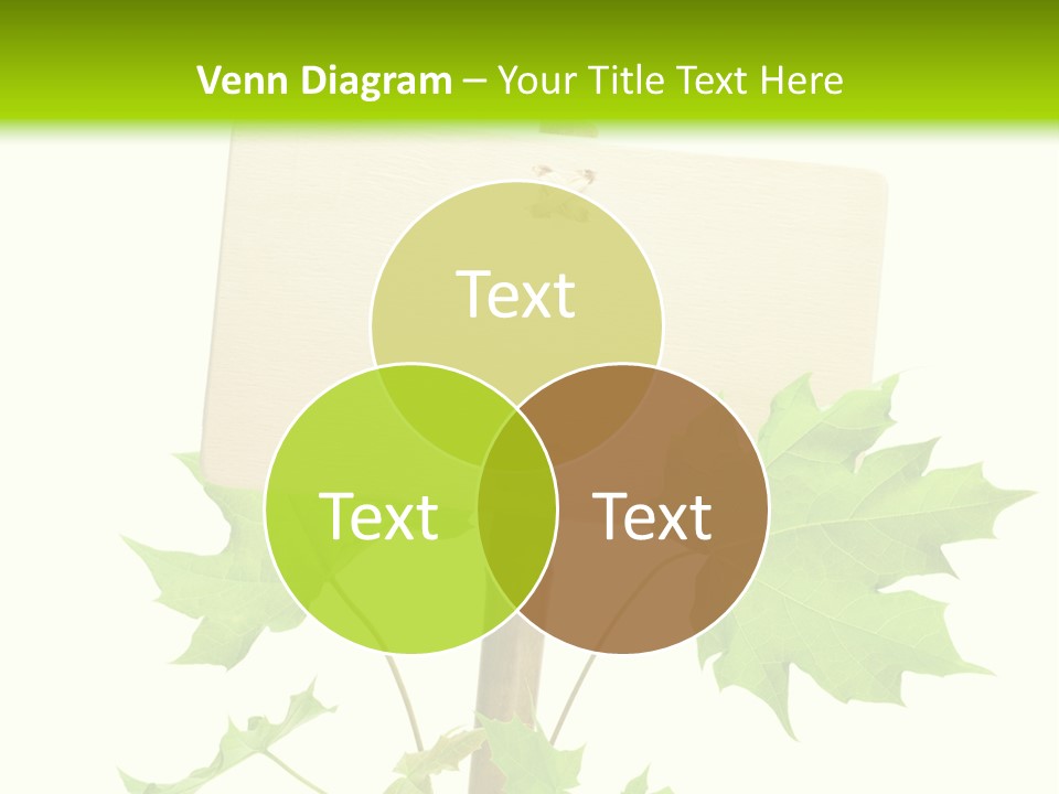 Design Environmental Bamboo PowerPoint Template