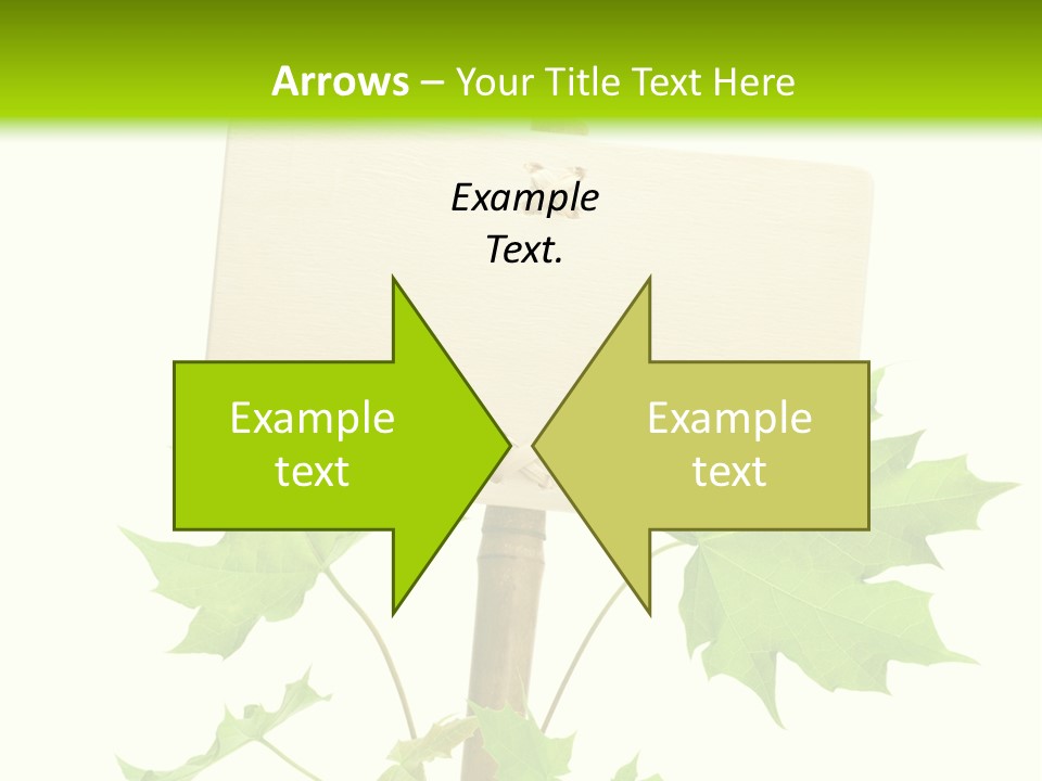 Design Environmental Bamboo PowerPoint Template