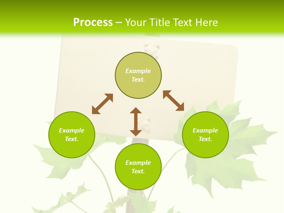 Design Environmental Bamboo PowerPoint Template