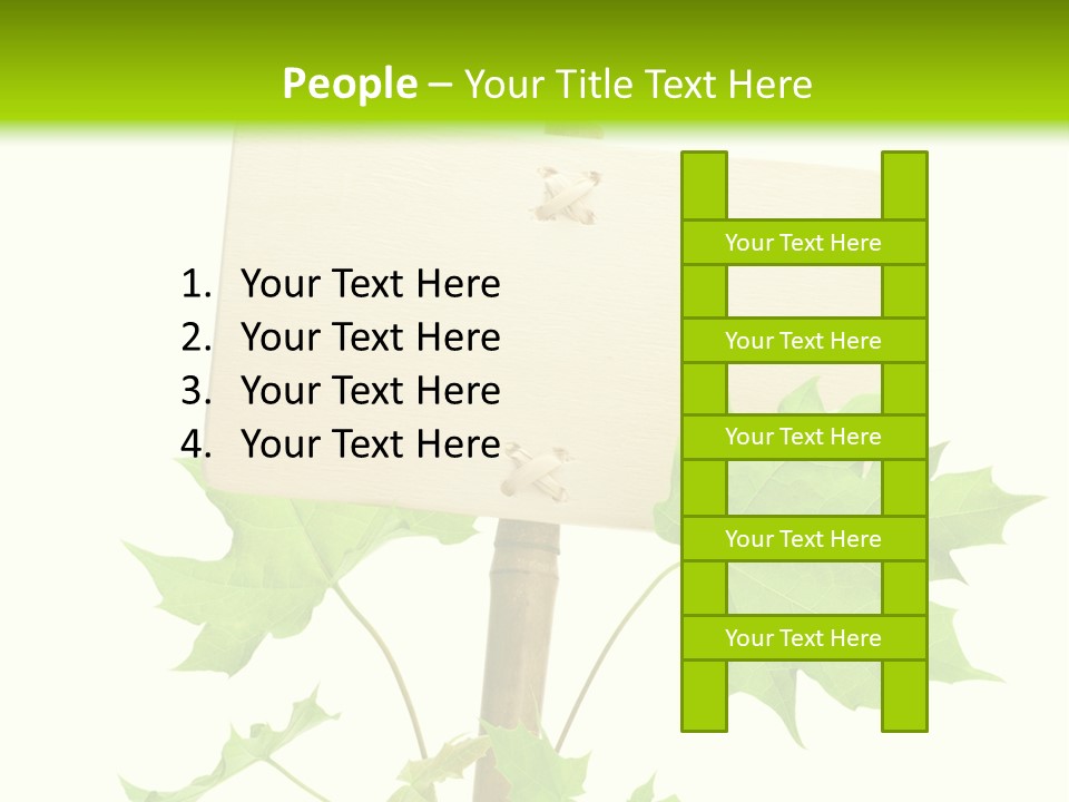 Design Environmental Bamboo PowerPoint Template