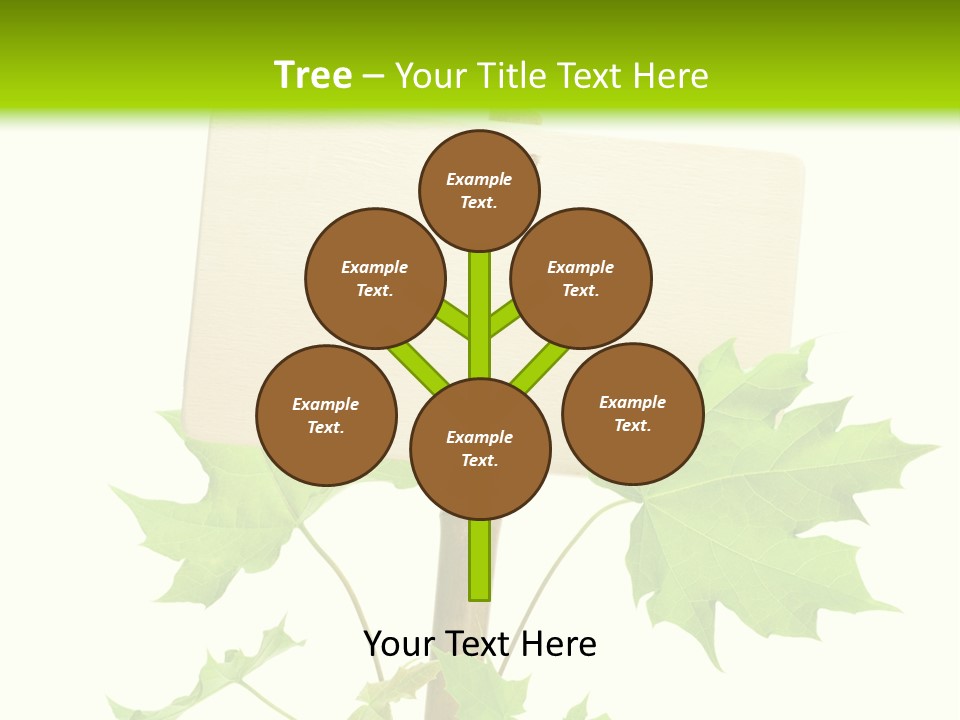 Design Environmental Bamboo PowerPoint Template