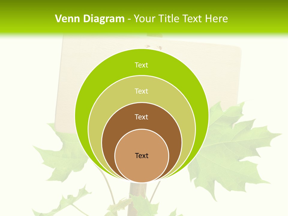 Design Environmental Bamboo PowerPoint Template