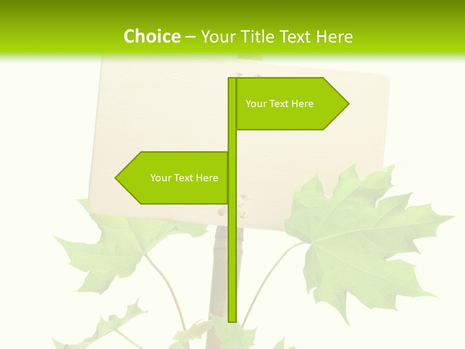 Design Environmental Bamboo PowerPoint Template