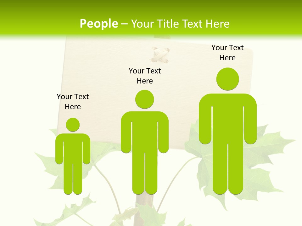 Design Environmental Bamboo PowerPoint Template