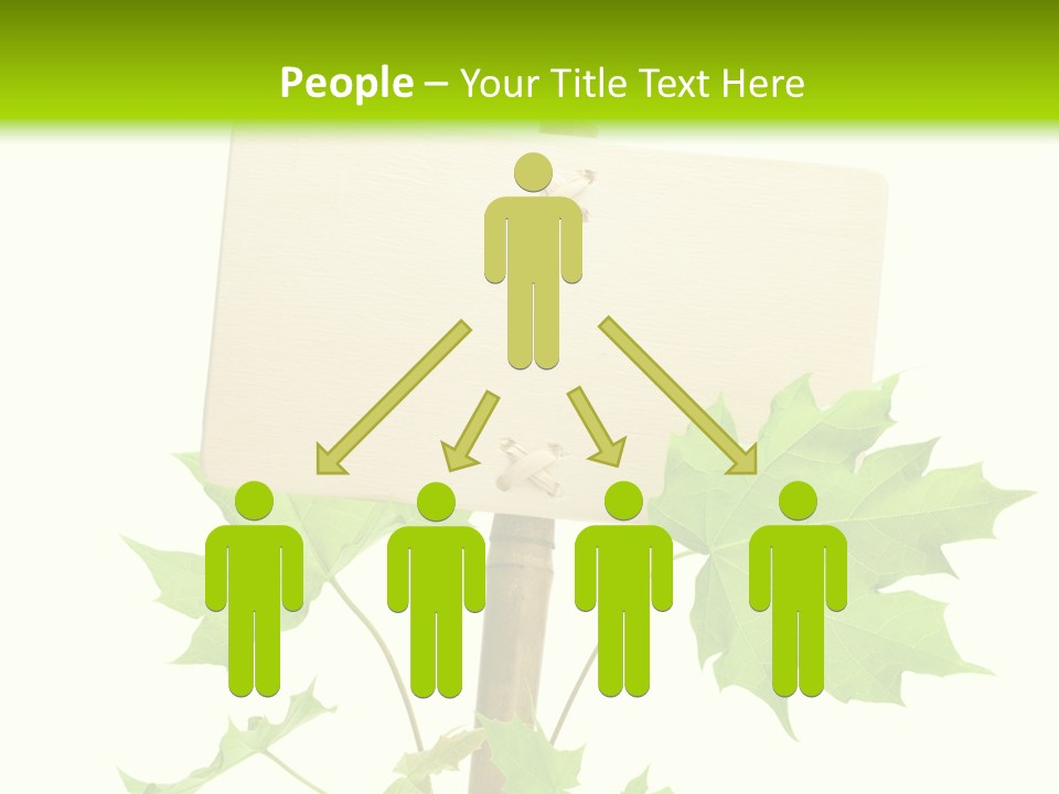 Design Environmental Bamboo PowerPoint Template