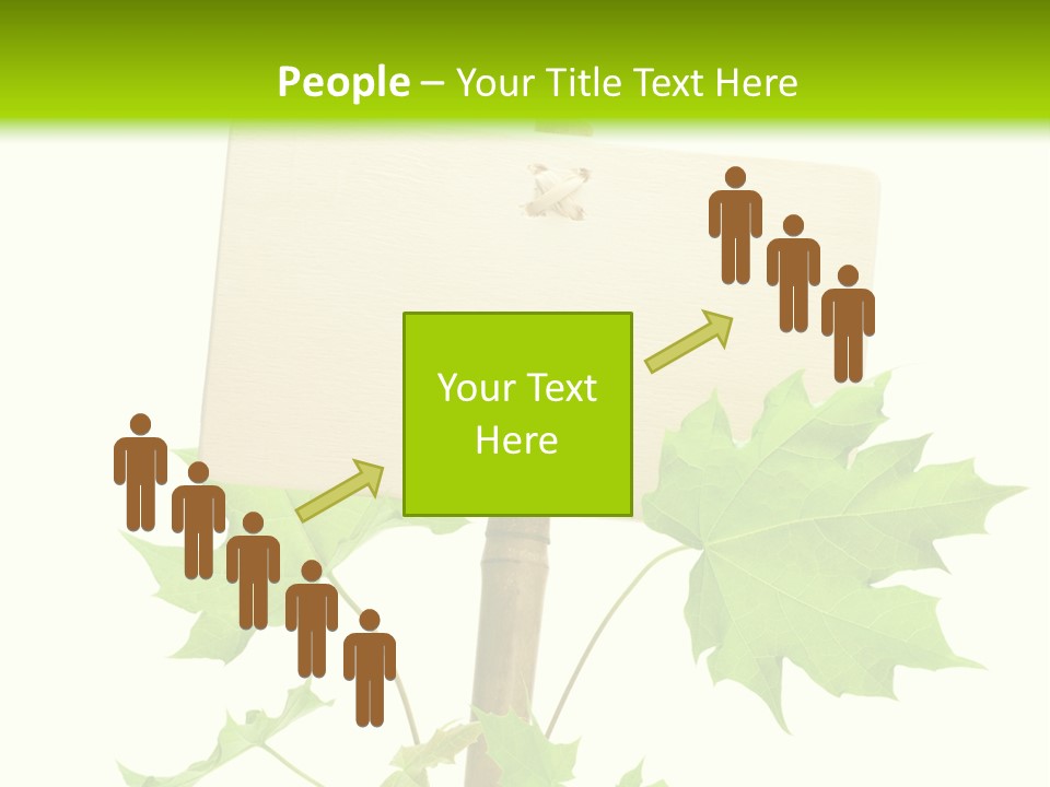 Design Environmental Bamboo PowerPoint Template