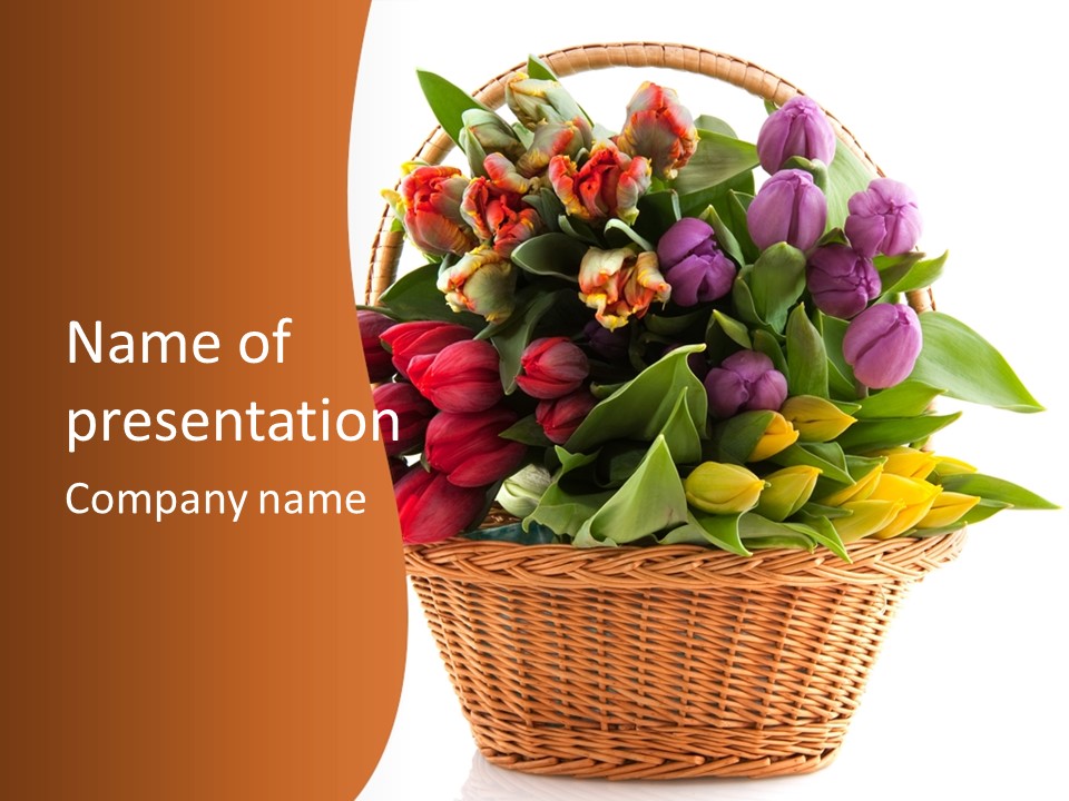 Holland Colorful Assortment PowerPoint Template