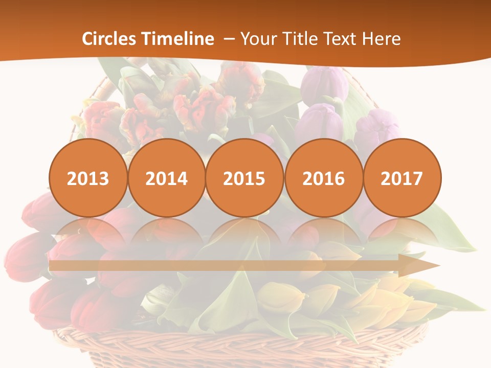 Holland Colorful Assortment PowerPoint Template