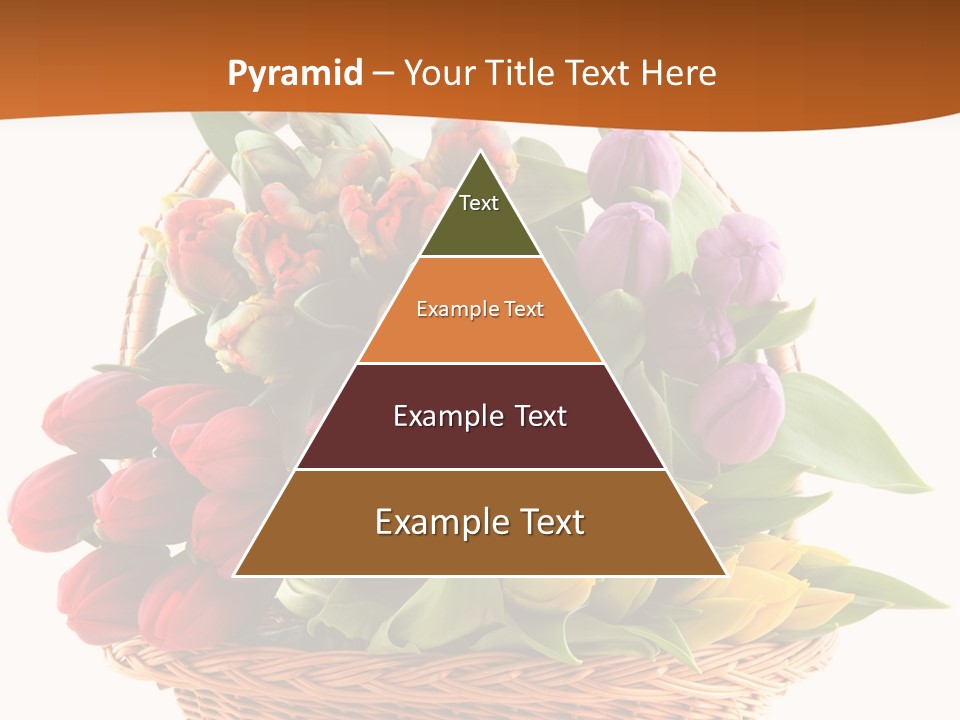 Holland Colorful Assortment PowerPoint Template