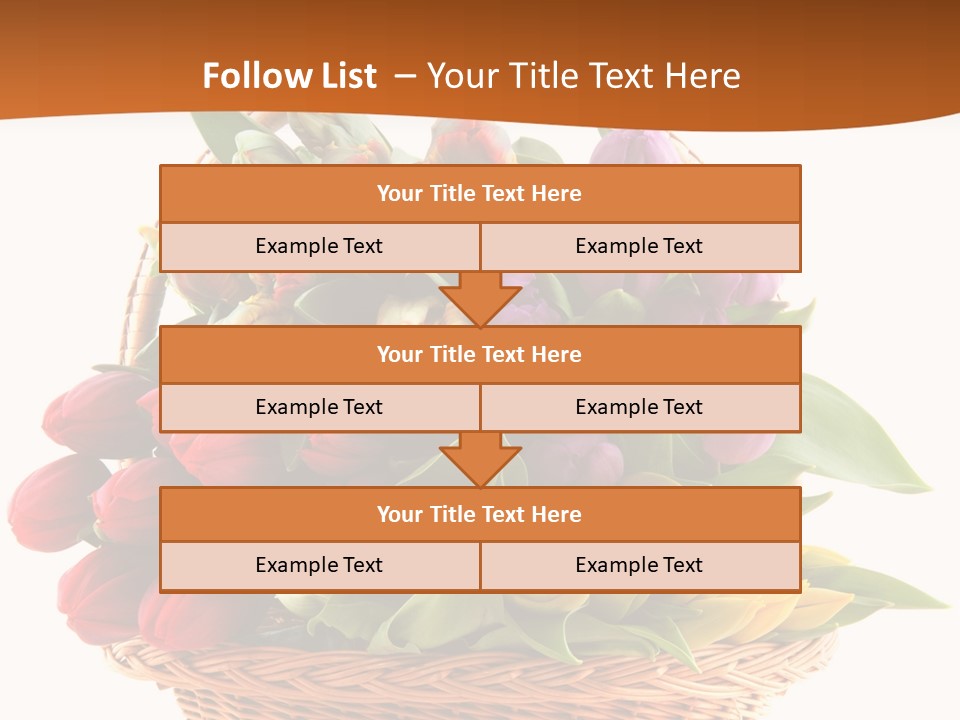 Holland Colorful Assortment PowerPoint Template