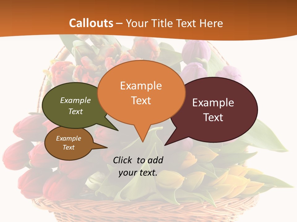 Holland Colorful Assortment PowerPoint Template