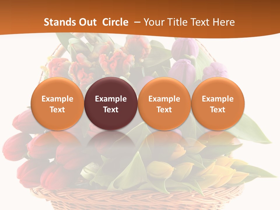 Holland Colorful Assortment PowerPoint Template