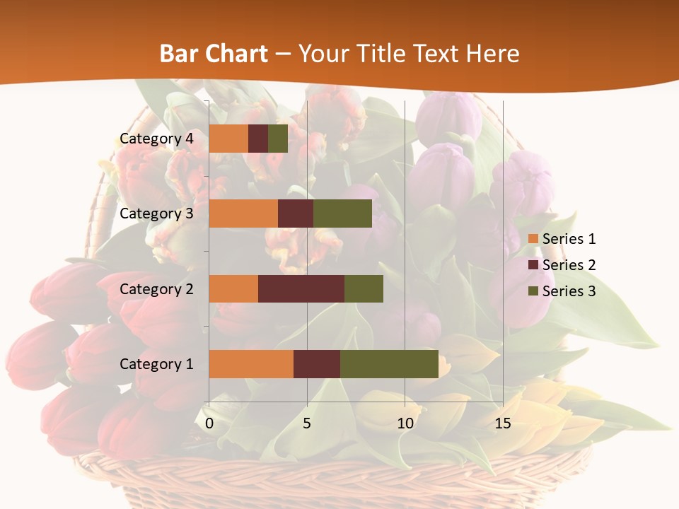 Holland Colorful Assortment PowerPoint Template