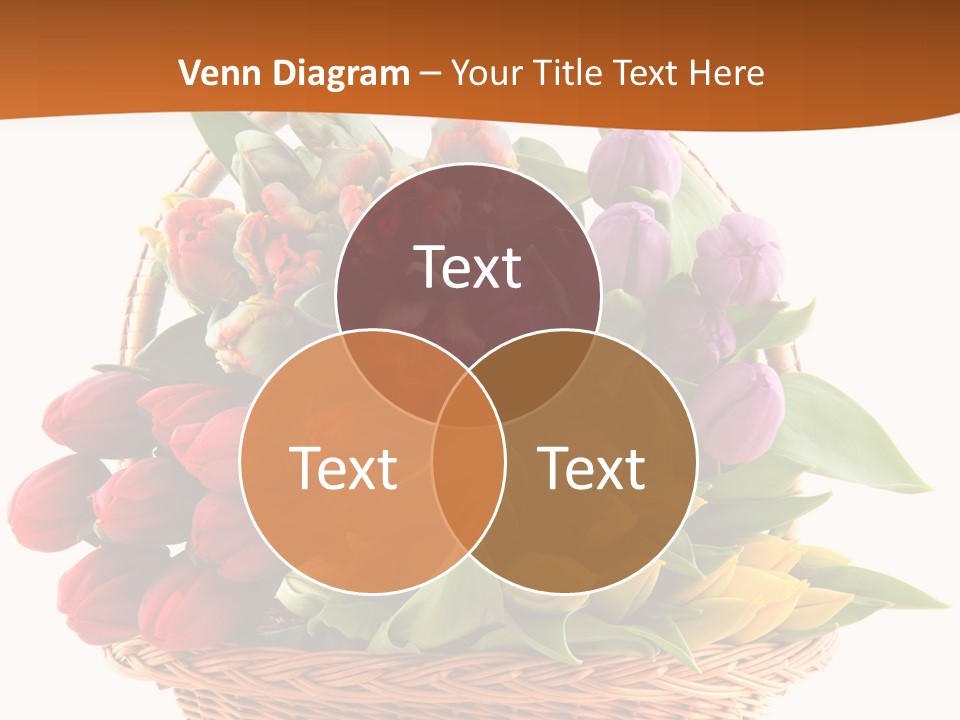 Holland Colorful Assortment PowerPoint Template