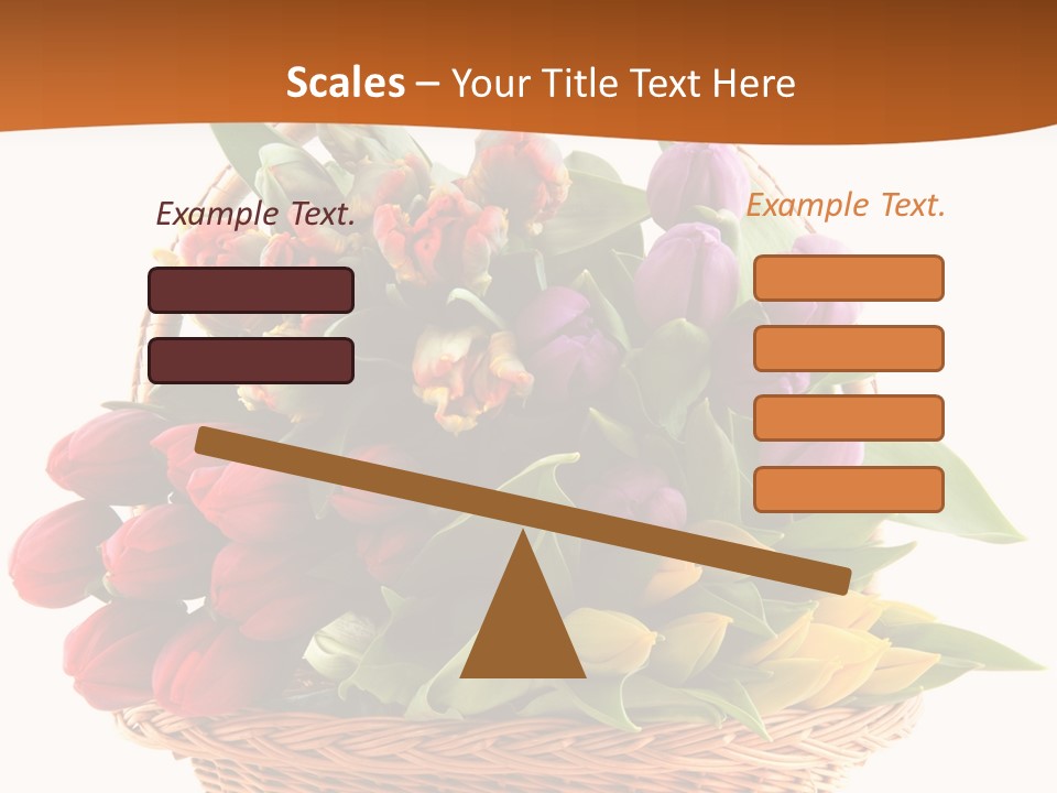 Holland Colorful Assortment PowerPoint Template