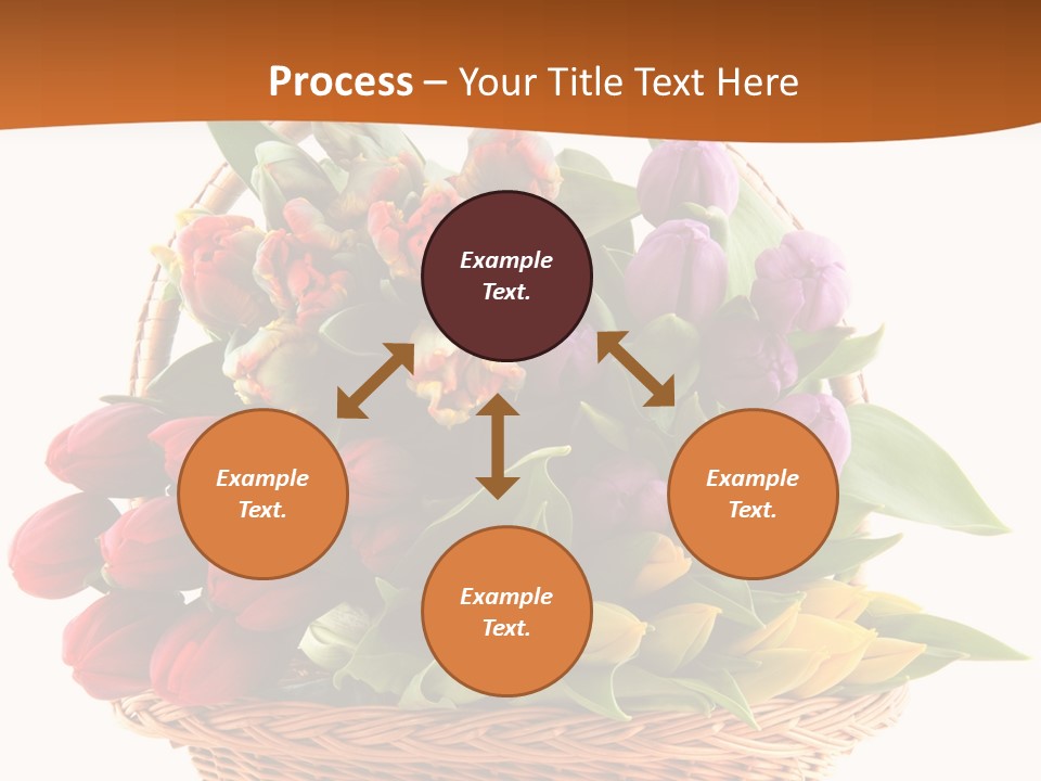 Holland Colorful Assortment PowerPoint Template