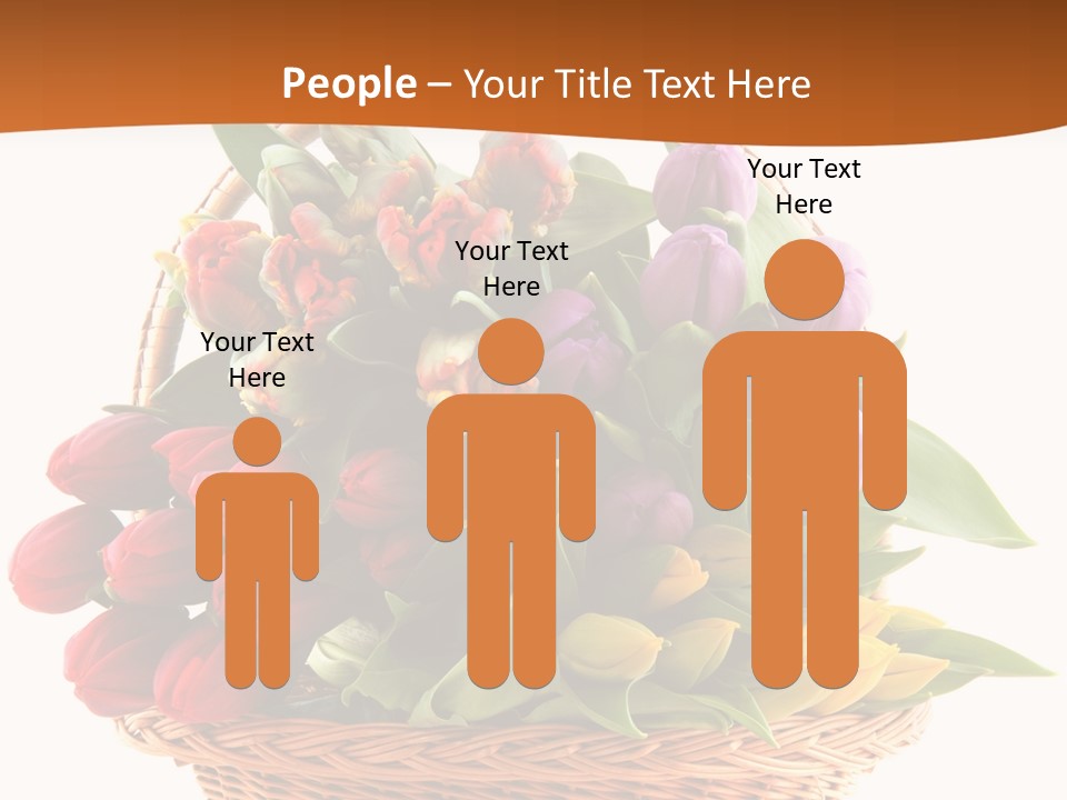 Holland Colorful Assortment PowerPoint Template