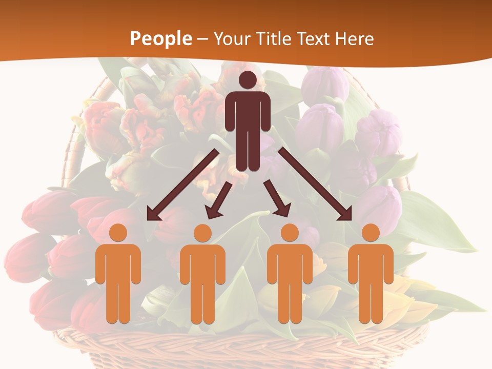 Holland Colorful Assortment PowerPoint Template