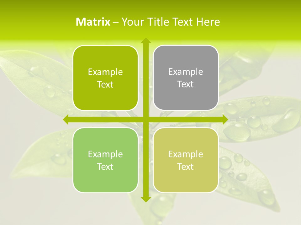 Season Weather Growth PowerPoint Template