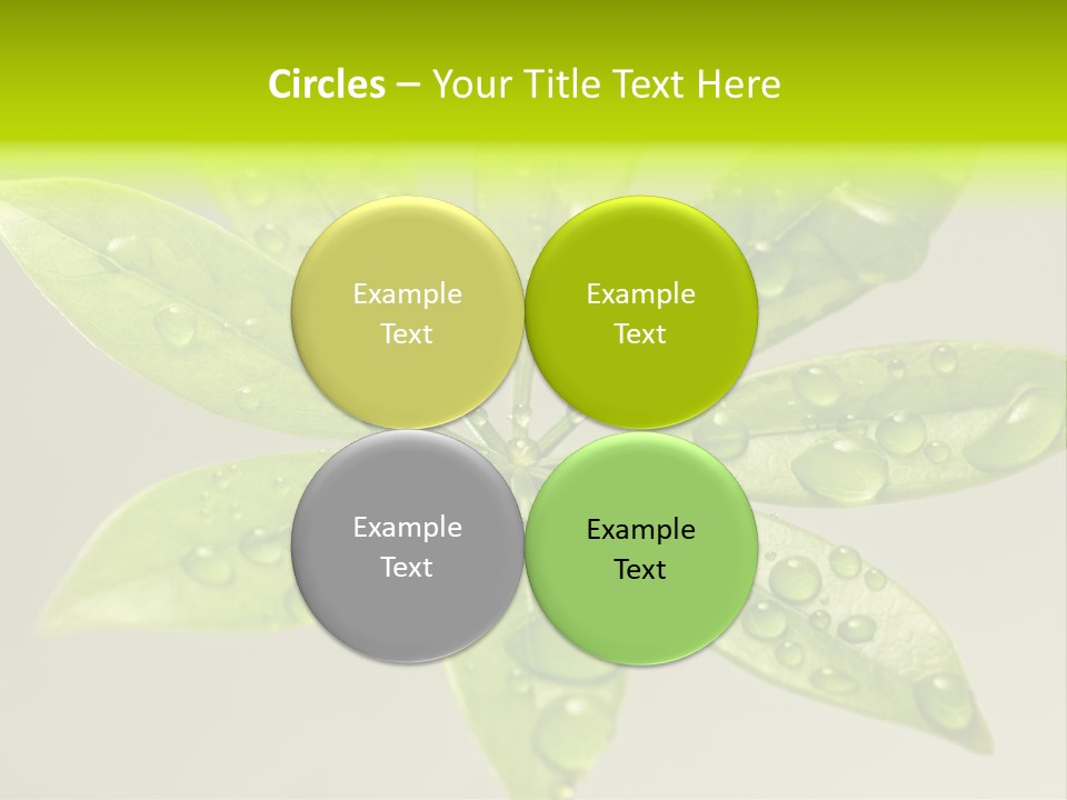 Season Weather Growth PowerPoint Template