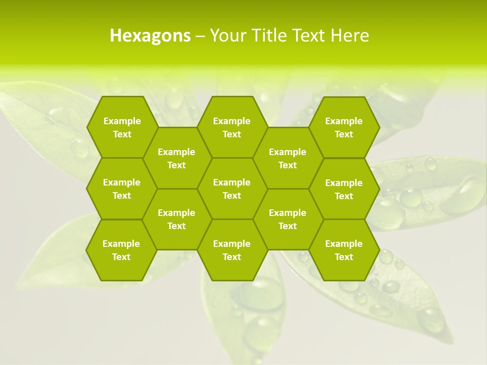 Season Weather Growth PowerPoint Template