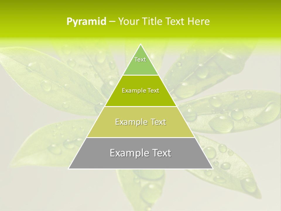 Season Weather Growth PowerPoint Template