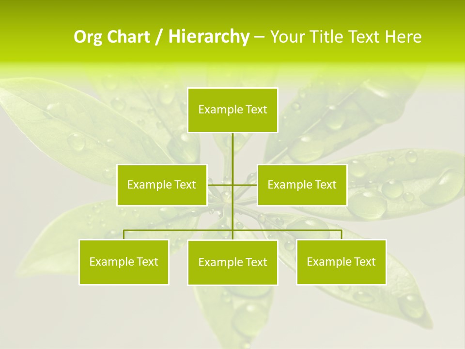 Season Weather Growth PowerPoint Template