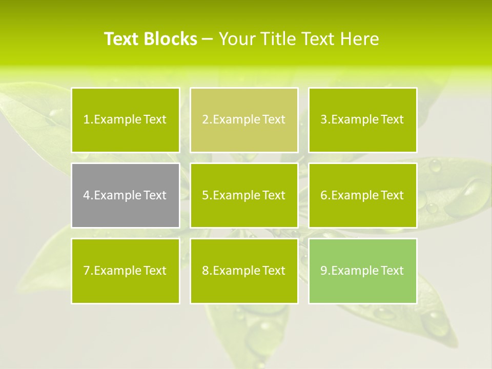Season Weather Growth PowerPoint Template