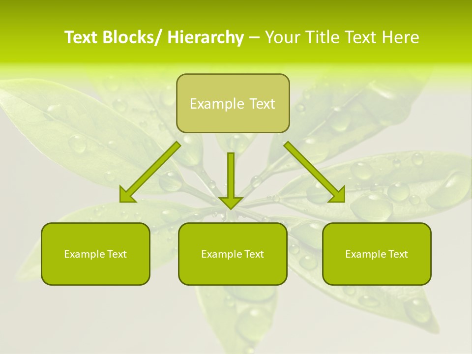 Season Weather Growth PowerPoint Template