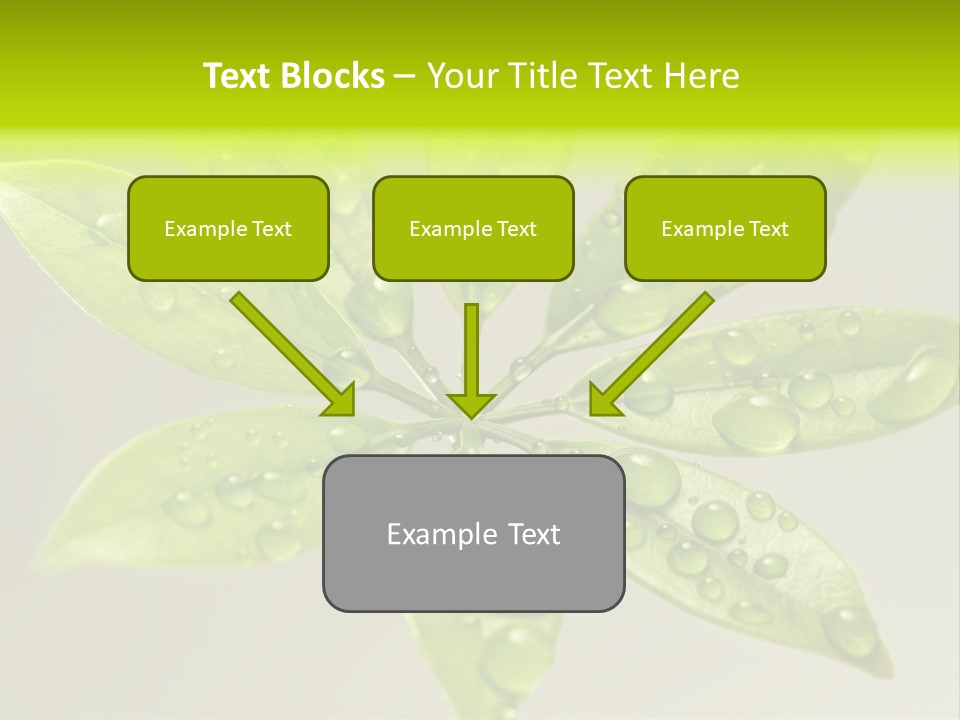 Season Weather Growth PowerPoint Template