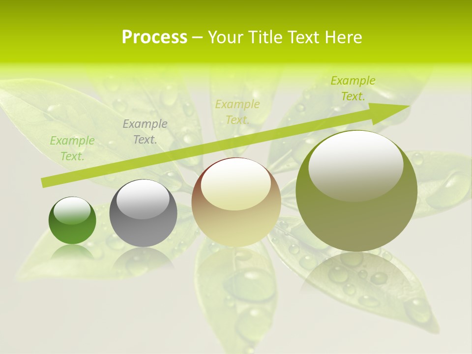 Season Weather Growth PowerPoint Template