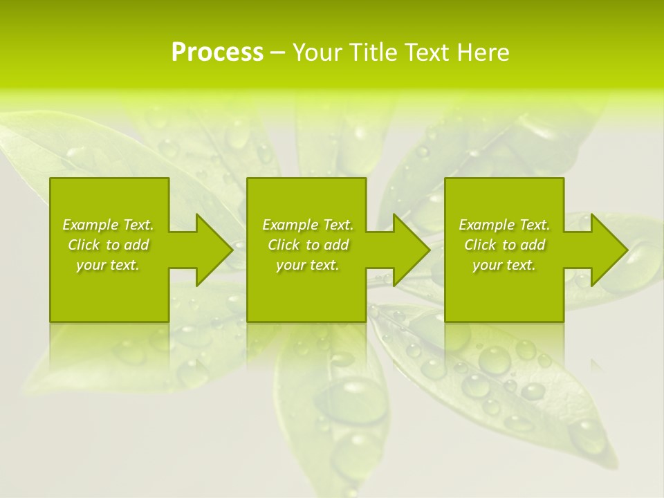 Season Weather Growth PowerPoint Template