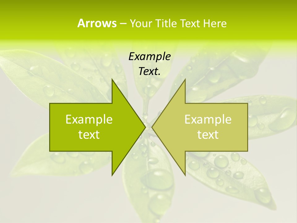 Season Weather Growth PowerPoint Template