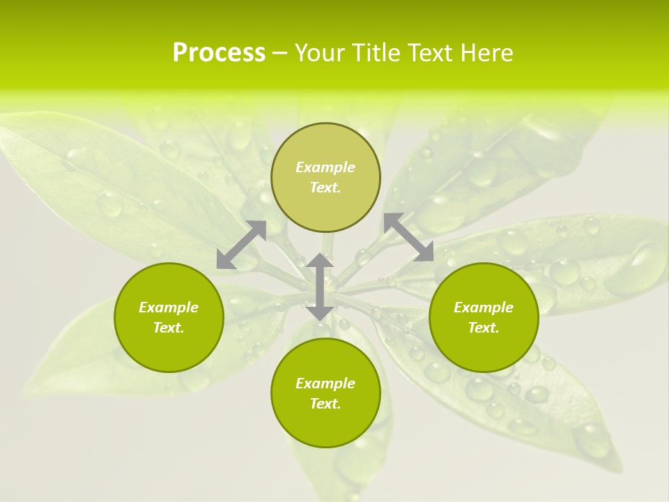 Season Weather Growth PowerPoint Template